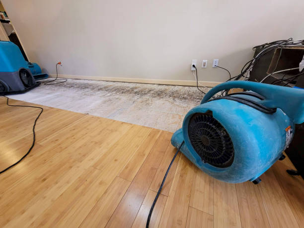 Professional Burst Pipe Water Damage technician working in Holton, MI